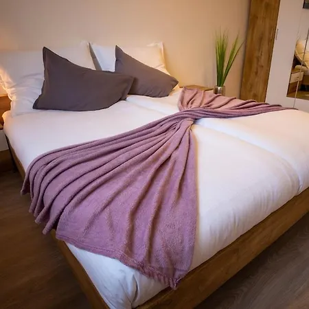 Cozy Flat In Center - Pekarska Street * Brno