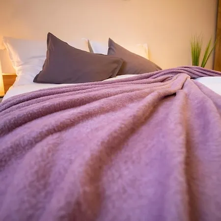 Cozy Flat In Center * 布尔诺