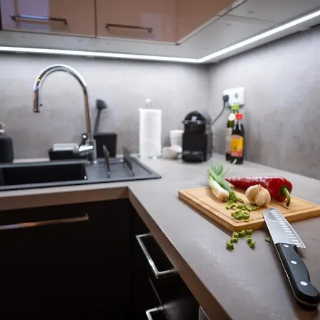 Cozy Flat In Center - Pekarska Street ברנו