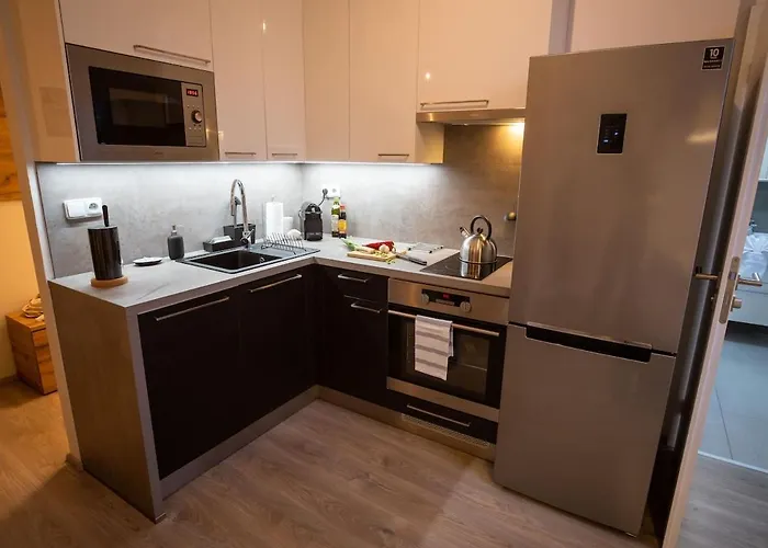 Apartamento Cozy Flat In Center Brno